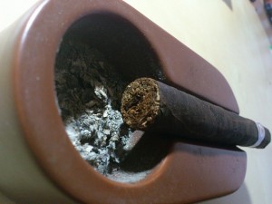 Padron Londres Maduloの葉が詰まっている様子